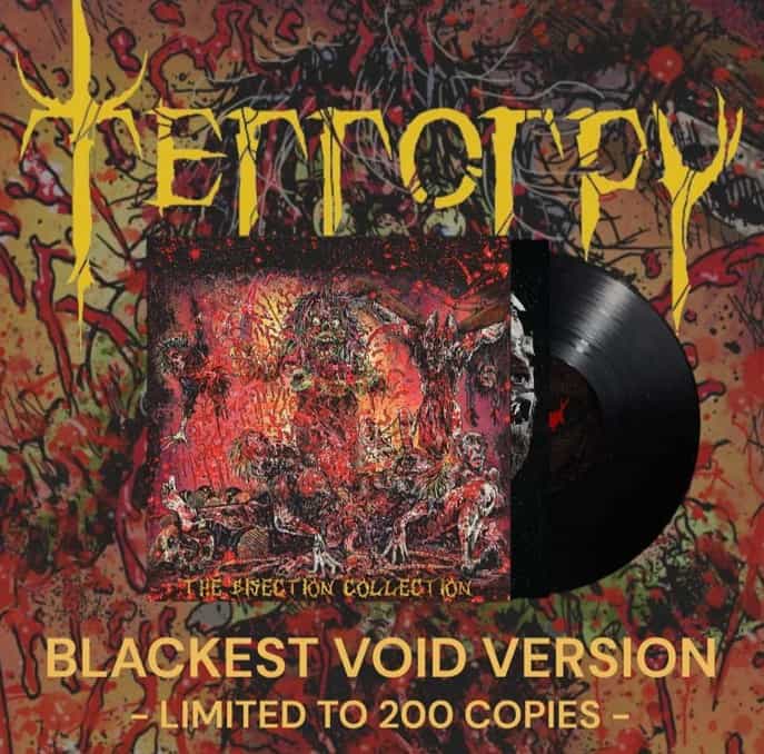 Terrorpy - The Bisection Collection, Ltd LP